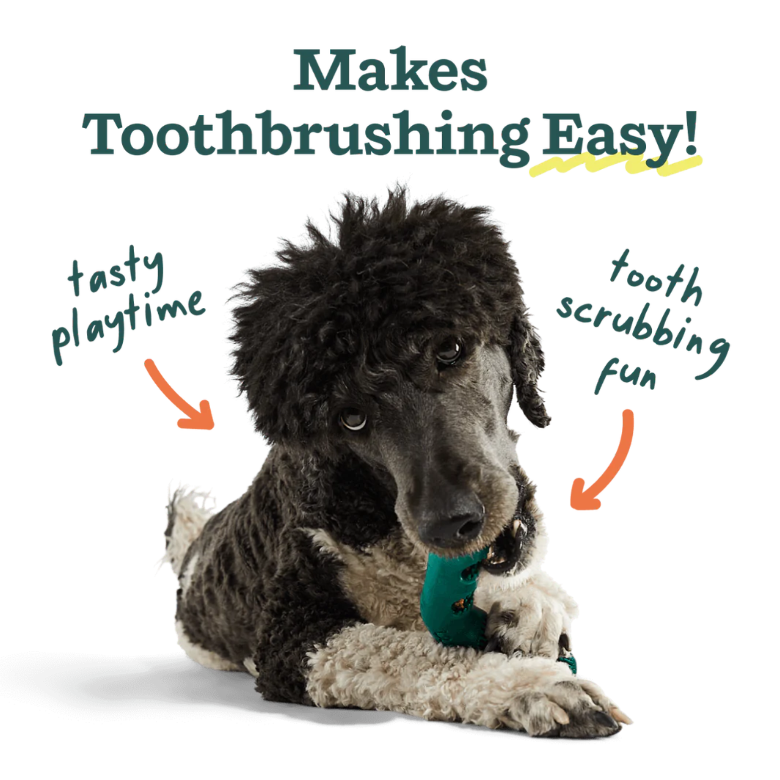 Woof Pet Bite n' Brush Refills Dog Treat