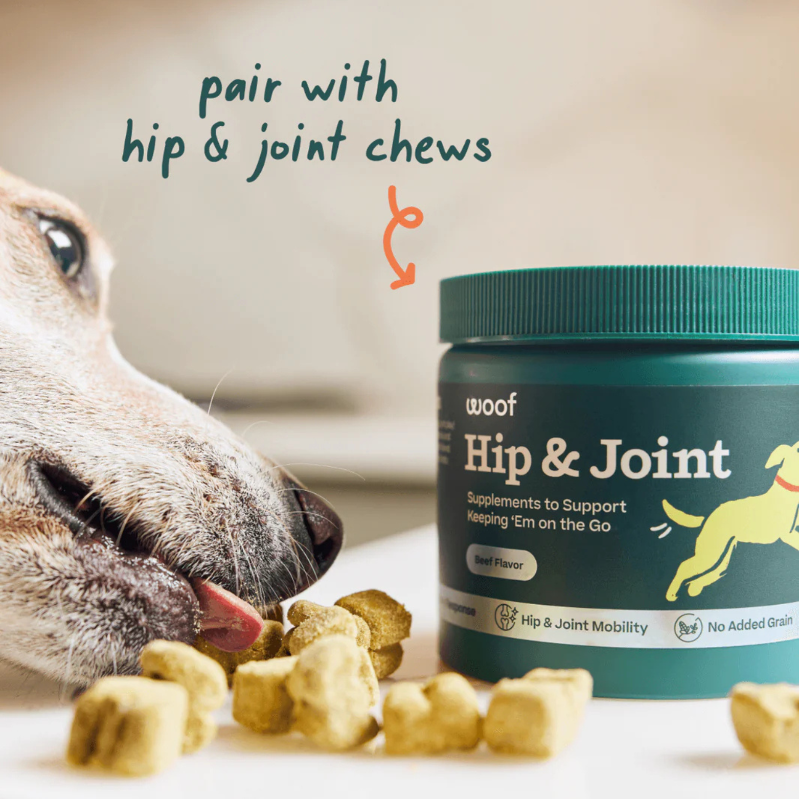 Woof Pet Joint Health Wellness Pops Dog Treat