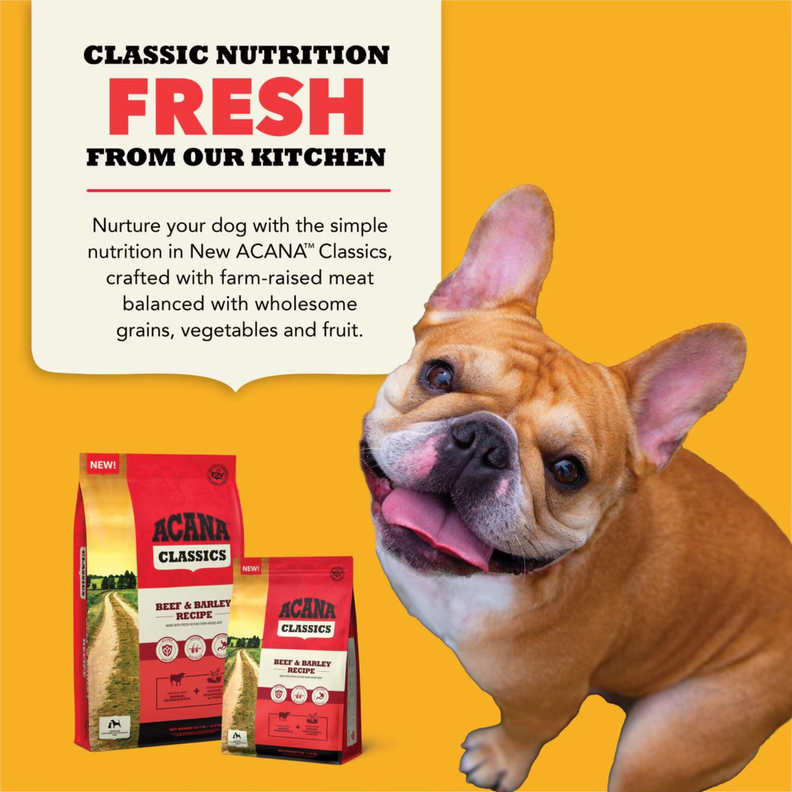 Acana Classics Beef & Barley Recipe Dry Dog Food