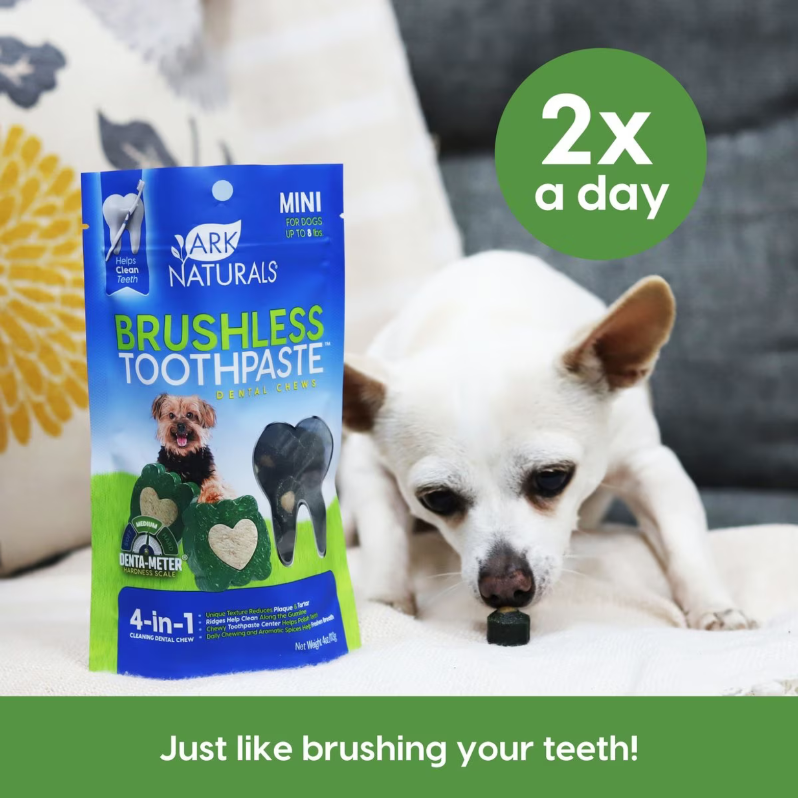 Ark Naturals Brushless Toothpaste Mini Dental Dog Treats, 4-oz