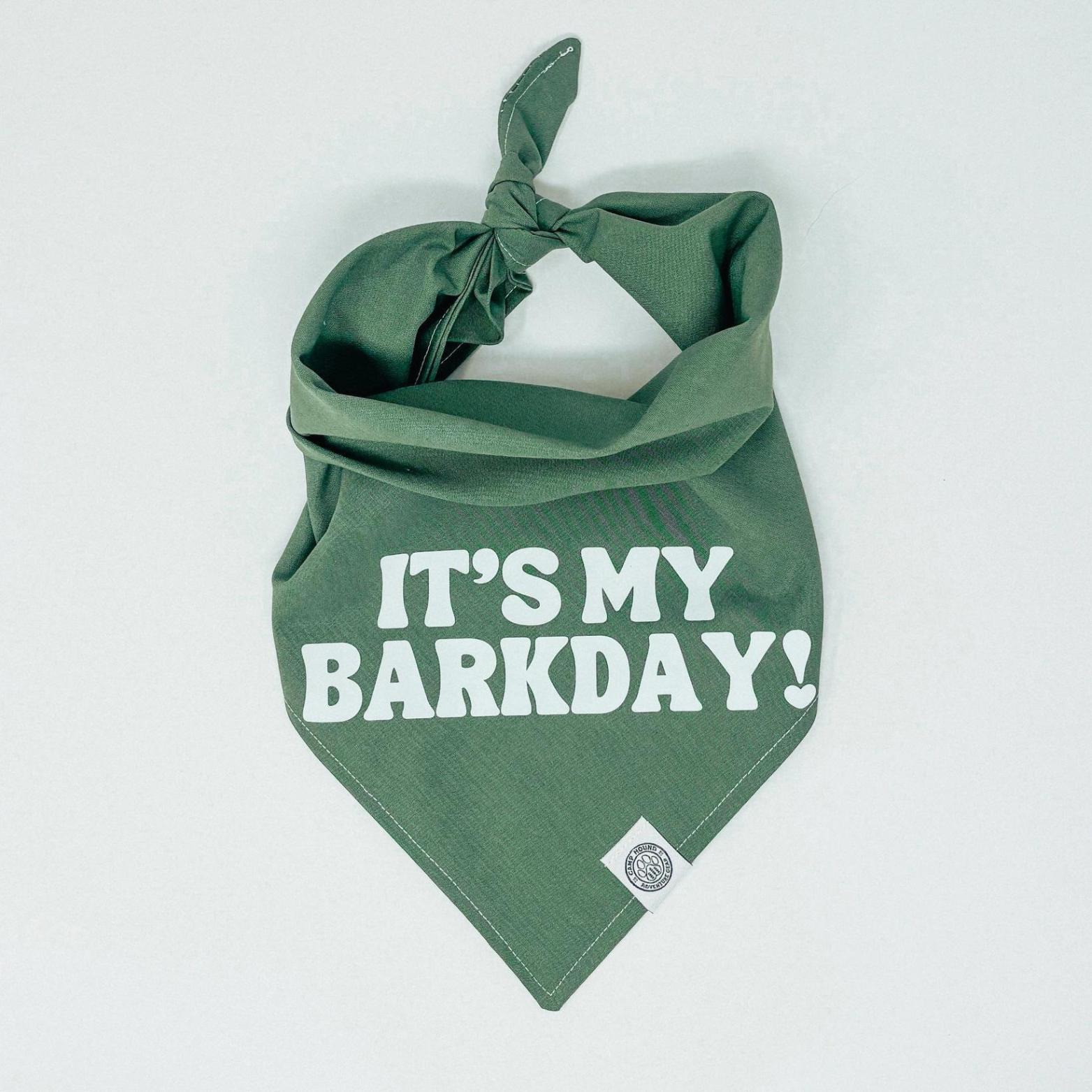 Camp Hound It's My BarkDay Dog Bandana Green