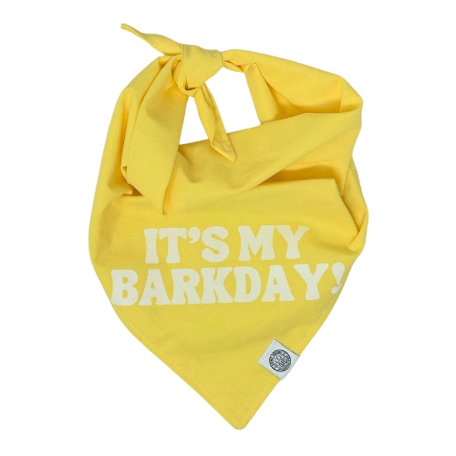 Camp Hound It's My BarkDay Dog Bandana Yellow