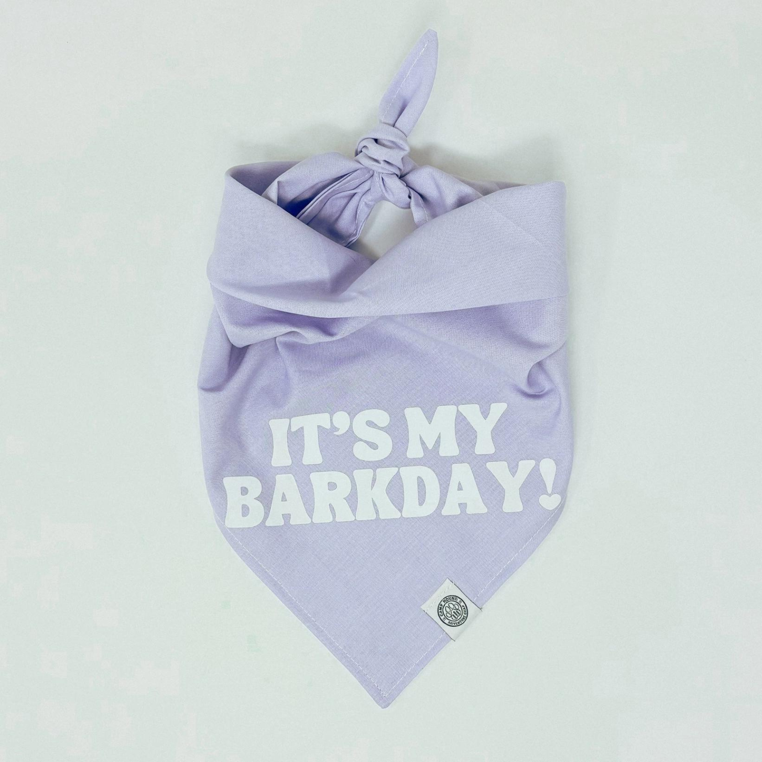 Camp Hound It's My BarkDay Dog Bandana Purple