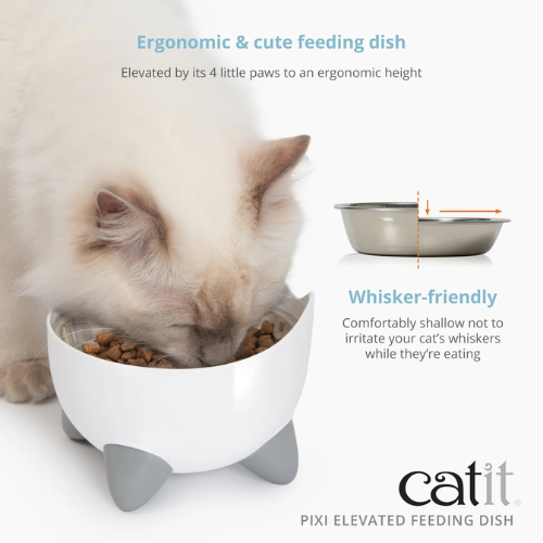 Catit PIXI Cat Elevated Feeding Dish White