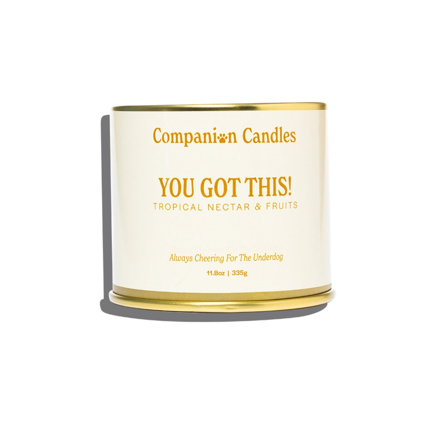 Companion Candles Pet-Safe Soy Candle Citrus Coconut