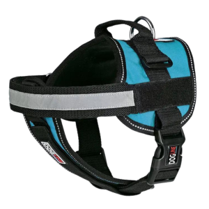 Dogline Unimax Multi-Purpose Dog Harness Teal