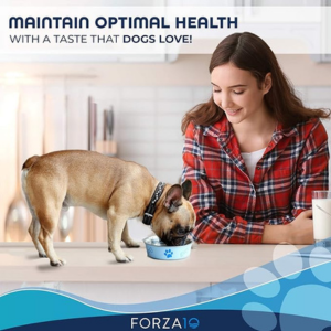 Forza10 Nutraceutic Active Depura Fish Recipe Dry Dog Food - Mutts & Co.