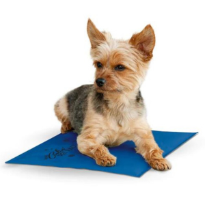 K&H Pet Products Coolin' Pet Pad Blue - Mutts & Co.