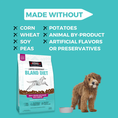 Koha Limited Ingredient Bland Diet Beef & Brown Rice Recipe with Pumpkin Dry Dog Food