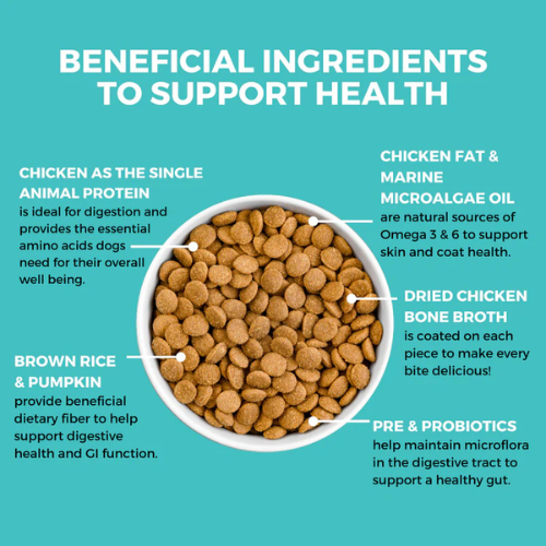 Koha Limited Ingredient Bland Diet Chicken & Brown Rice Recipe with Pumpkin Dry Dog Food