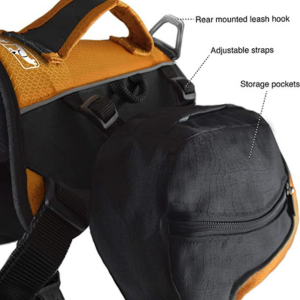 Kurgo Baxter Backpack Black & Orange - Mutts & Co.