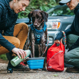 Kurgo Dog Kibble Carrier Travel Food Container - Mutts & Co.