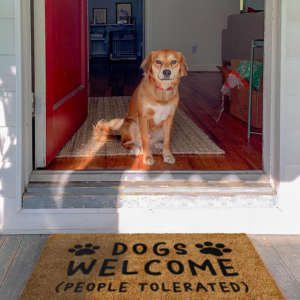 MAINEVENT Coir Welcome Mat - Dogs Welcome 30 x 17 Inch - Mutts & Co.