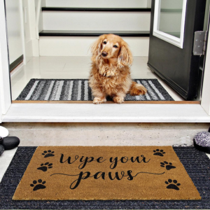 MAINEVENT Coir Welcome Mat - Wipe Your Paws 30 x 17 Inch - Mutts & Co.