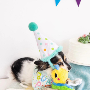 Pearhead Birthday Pup Small / Medium Bandana & Hat Set - Mutts & Co.