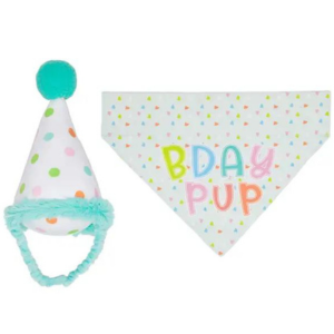 Pearhead Birthday Pup Small / Medium Bandana & Hat Set - Mutts & Co.