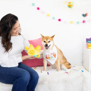 Pearhead Happy Barkday Medium / Large Bandana & Hat Set - Mutts & Co.