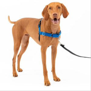 PetSafe Easy Walk Dog Harness Blue - Mutts & Co.