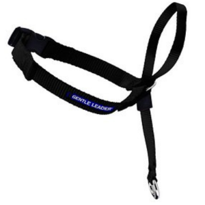 PetSafe Premier Gentle Leader Quick Release Dog Headcollar