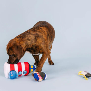 Pet Shop by Fringe Studio Ships Ahoy Hide & Seek Burrow Dog Toy - Mutts & Co.