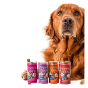 Polka Dog Mini Tube Wonder Nuggets Peanut Butter Soft & Chewy Dog Treats 2.5oz