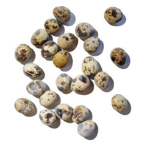 Savage Cat Frozen Quail Eggs for Dogs and Cats, 24 count