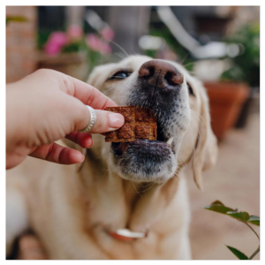 Shameless Pets Salmon Loves Butternut Jerky Bites for Dogs, 5oz