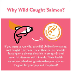 Shameless Pets Salmon Loves Butternut Jerky Bites for Dogs, 5oz