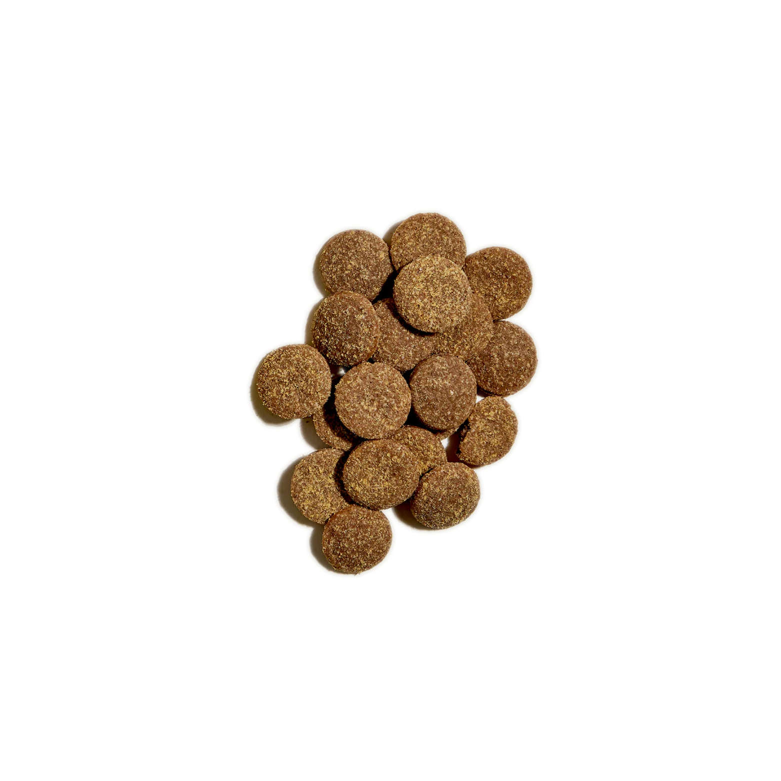 Open Farm Better Biscuits Dog Treats Turkey & Oatmeal 8 oz