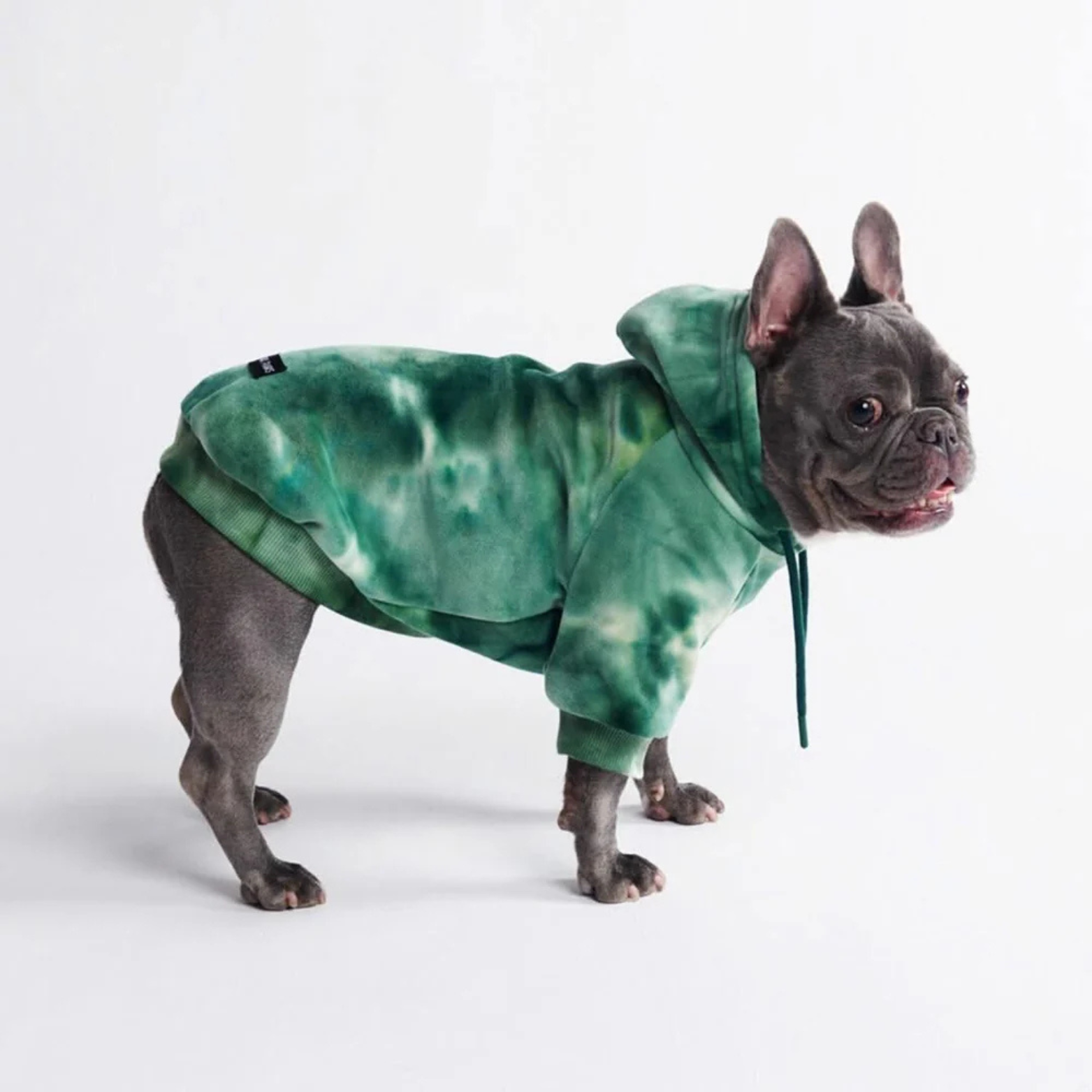 Spark Paws Velvet Dog Hoodie Emerald Green