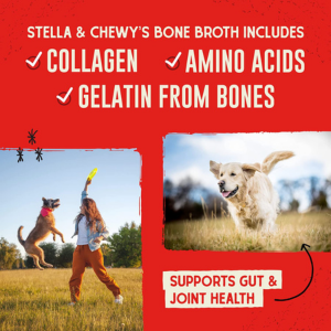 Stella & Chewy's Bountiful Bone Broth Beef for Dogs 16 oz - Mutts & Co.