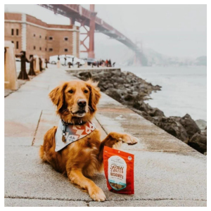 Stella & Chewy's Raw Coated Lamb Biscuits Dog Treats 9 oz