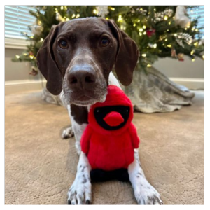 Tall Tails 11" Animated Cardinal Dog Toy