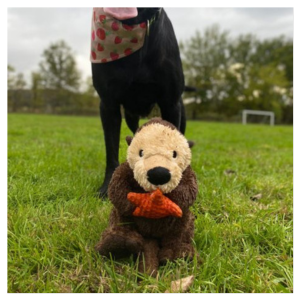 Tall Tails 13" Otter Rope Body Dog Toy