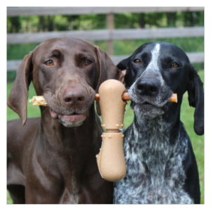 Tall Tails Bully Stick Holder For Dogs