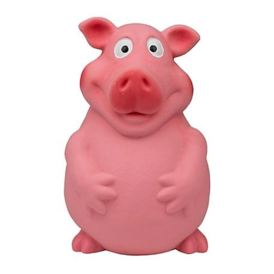 Territory Latex Pig Squeaker Dog Toy