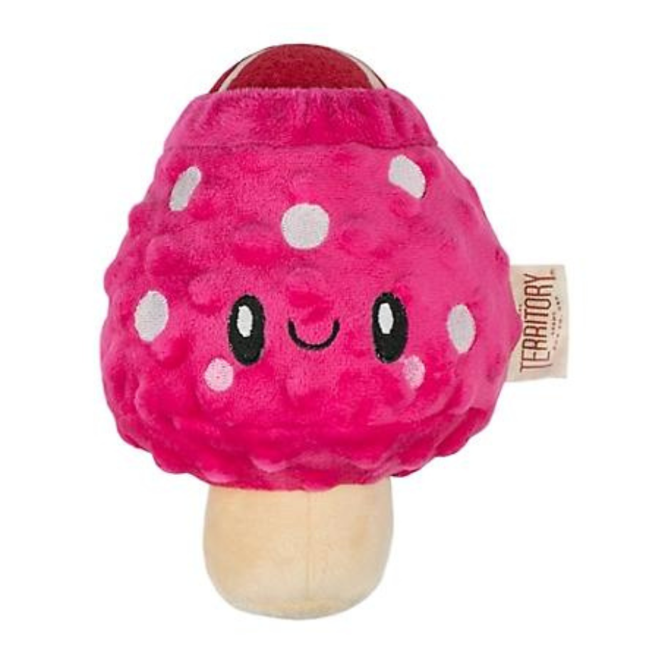 Territory Mushroom 2-in-1 Dog Toy