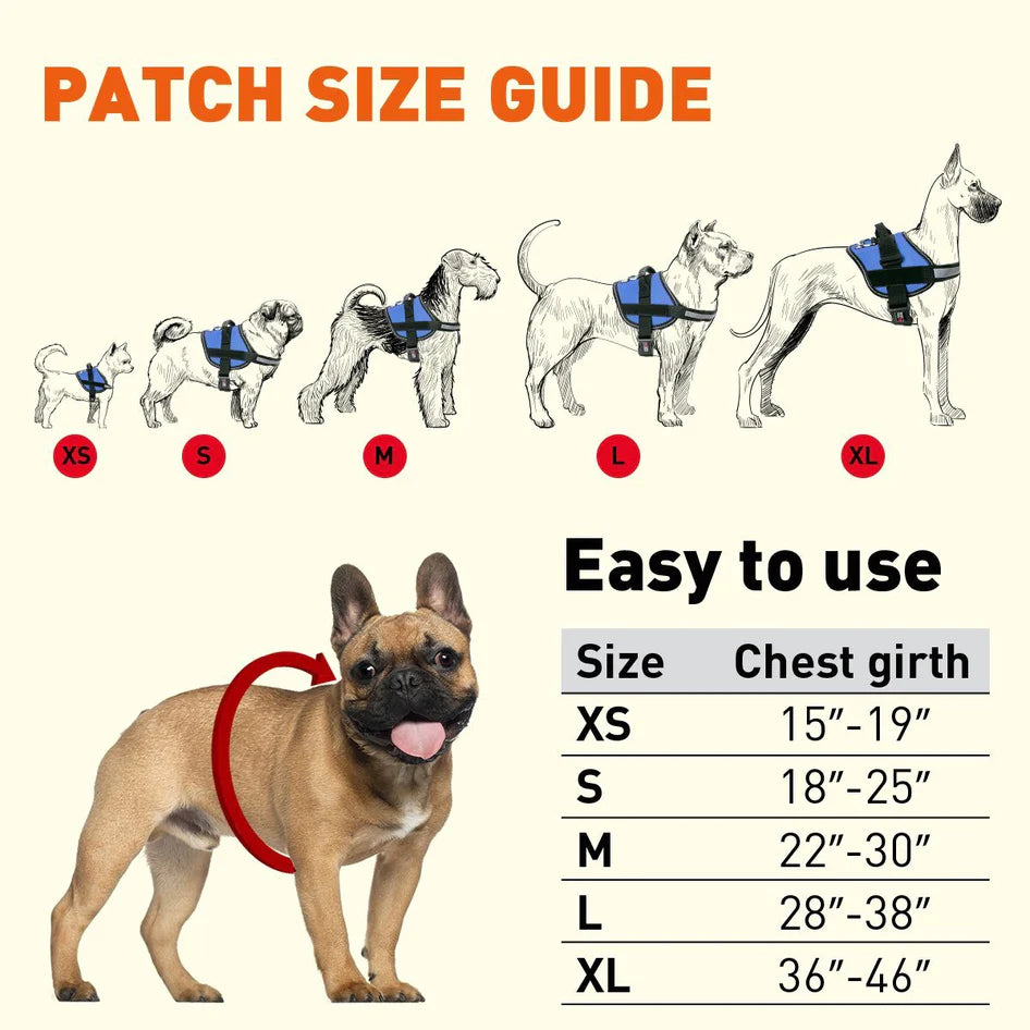 Dogline Unimax Multi-Purpose Dog Harness Gray - Mutts & Co.