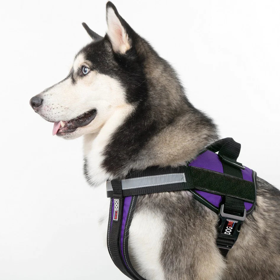 Dogline Unimax Multi-Purpose Dog Harness Red - Mutts & Co.