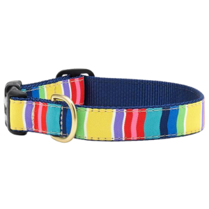 Up Country Colorful Stripe Dog Collar - Mutts & Co.