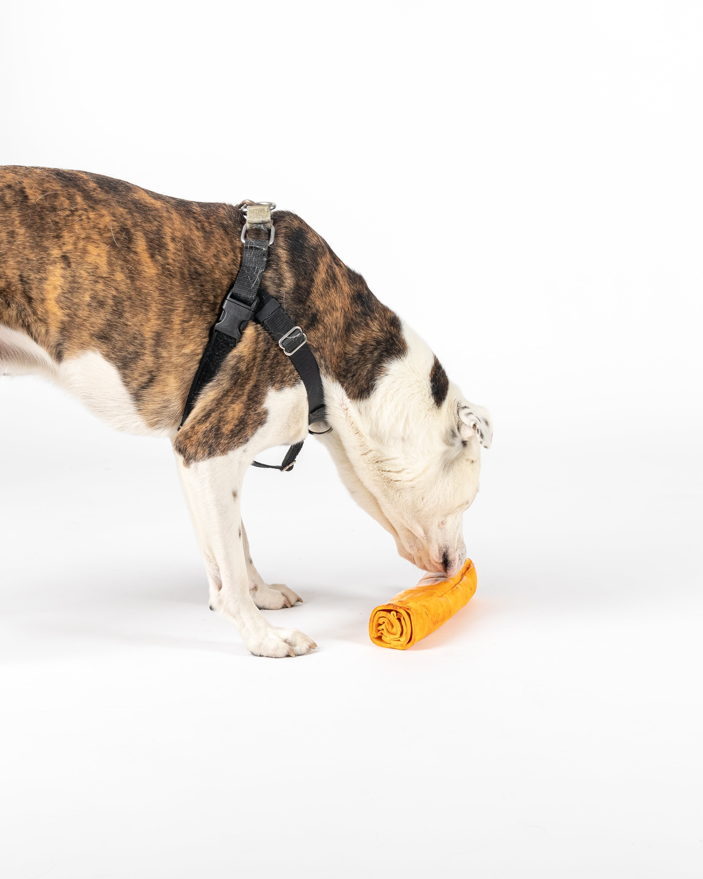 Boneanza Treat Co. Beef Cheek Roll Peanut Butter Dog Treats - Mutts & Co.