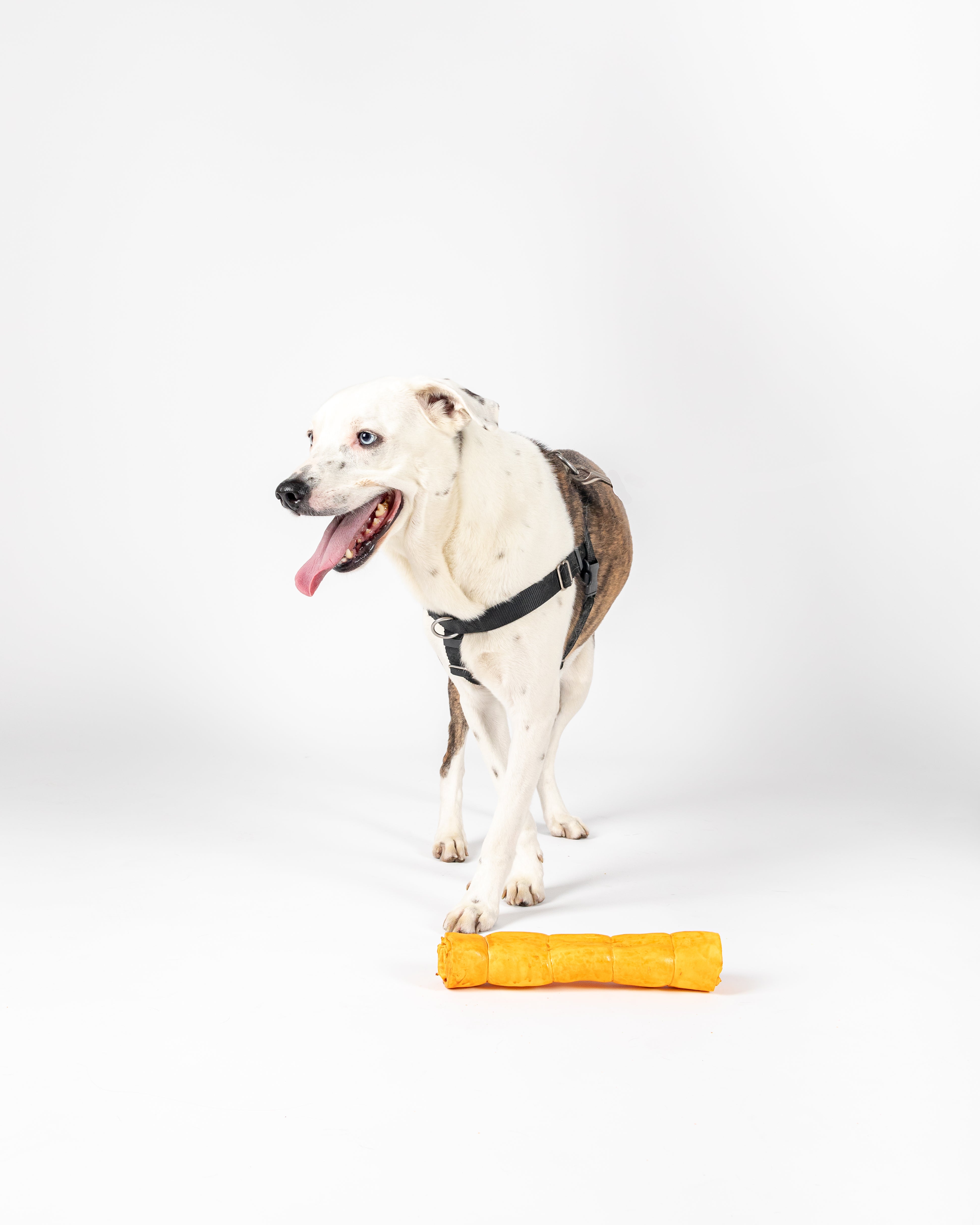 Boneanza Treat Co. Beef Cheek Roll Peanut Butter Dog Treats - Mutts & Co.