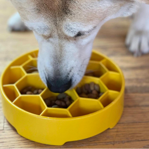 SodaPup Honeycomb Design Enrichment Slow Feeder Bowl for Dogs - Mutts & Co.