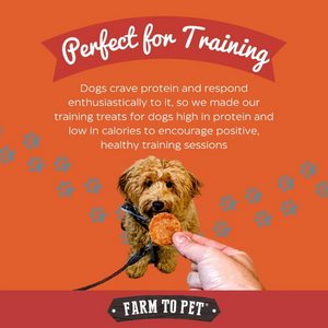 Farm To Pet Turkey Chips Dog Treats - Mutts & Co.