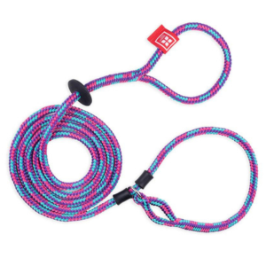 Harness Lead Reef - Mutts & Co.