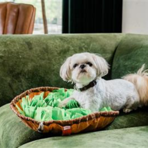 Injoya Salad Bowl Snuffle Feeding Mat For Dogs - Mutts & Co.