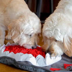 Injoya Shark Snuffle Feeding Mat For Dogs - Mutts & Co.