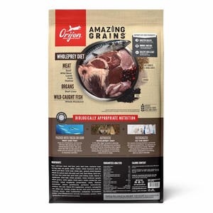 Orijen Amazing Grains Regional Red High Protein Dry Dog Food - Mutts & Co.