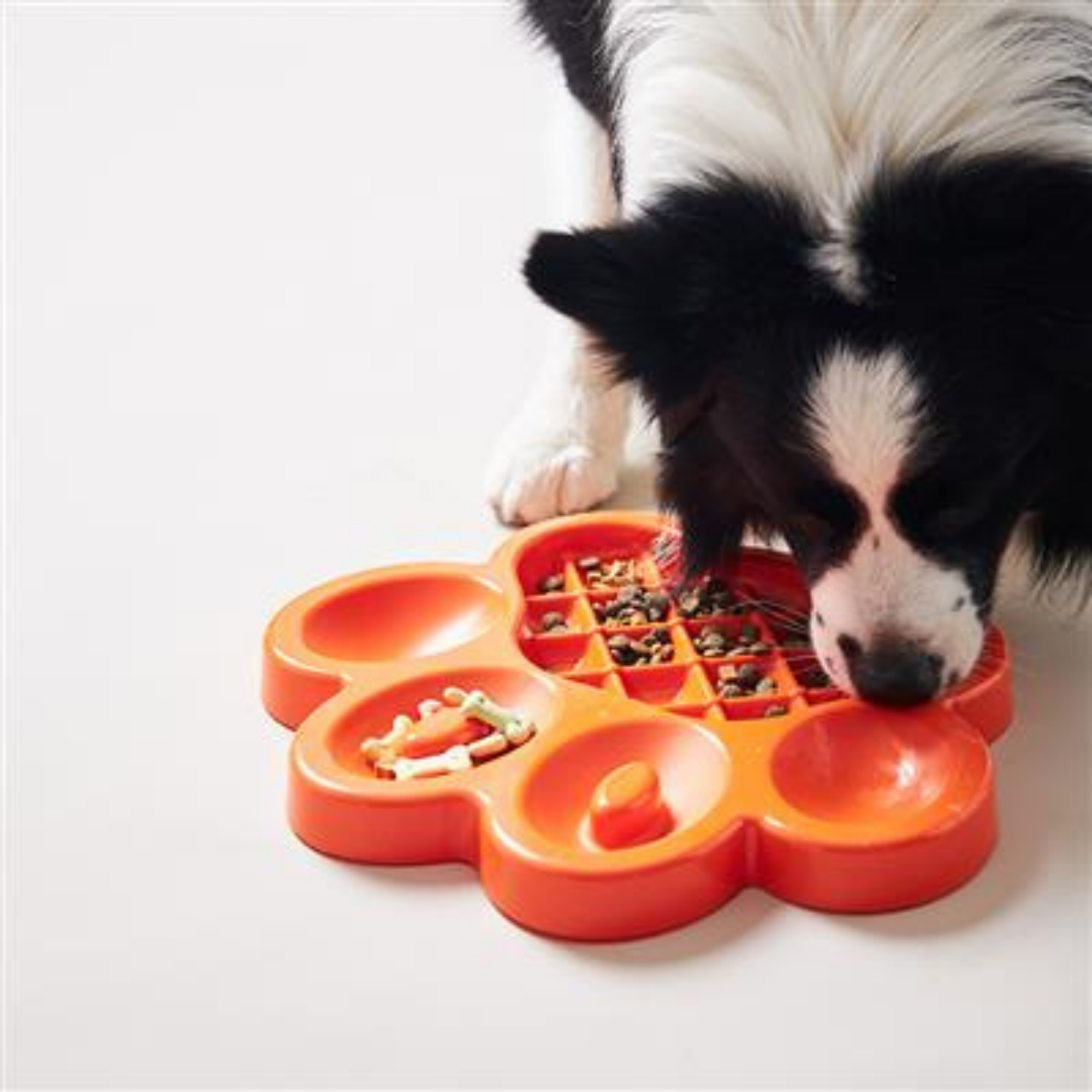 Poochie Pets PAW Slow Feeder Orange - Mutts & Co.