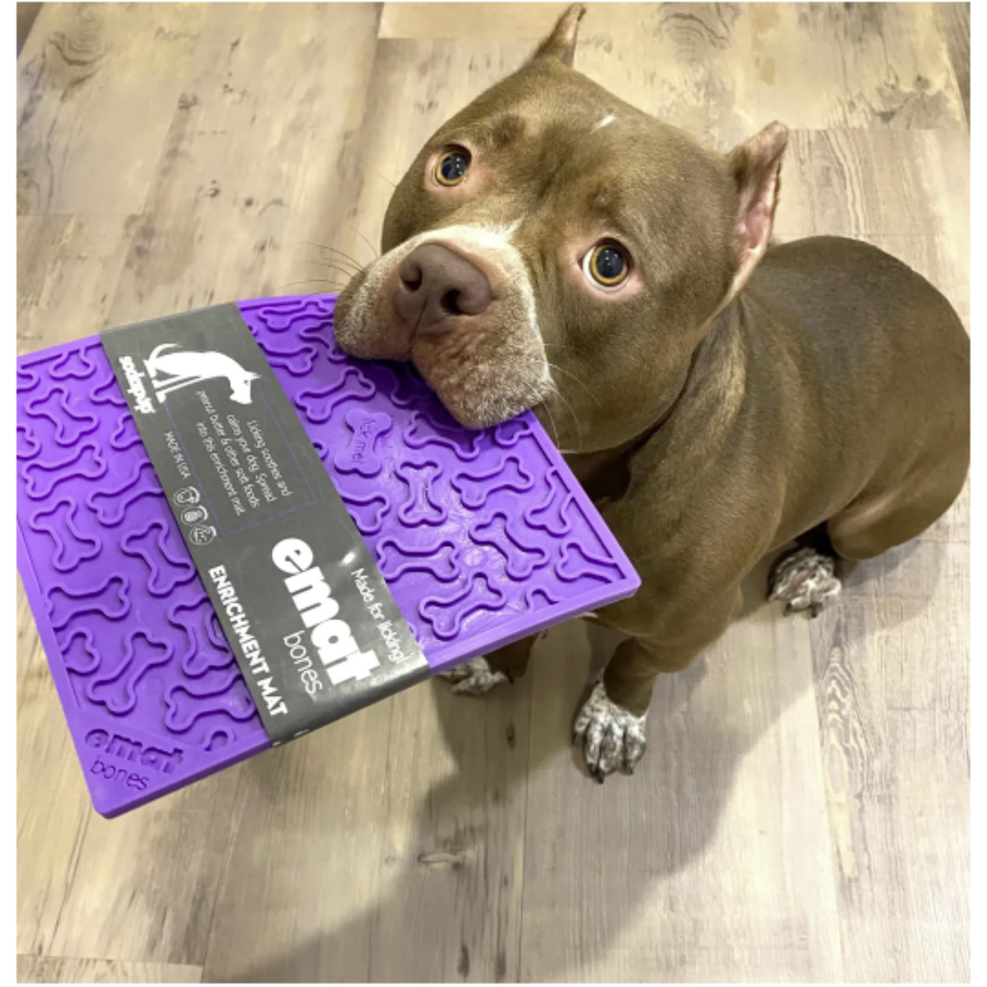 SodaPup Enriching Lick Mat Bones Large Purple - Mutts & Co.